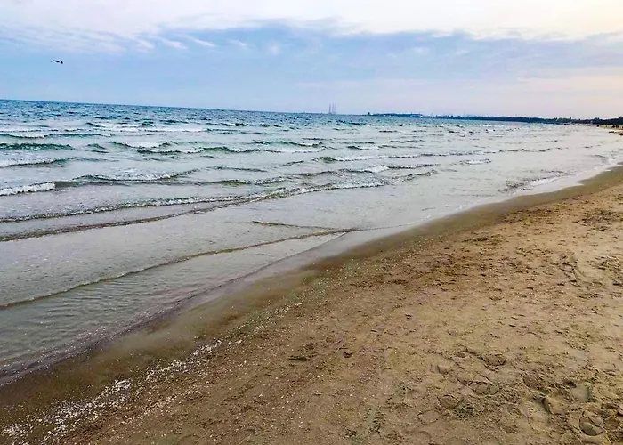 Reagan Park Apartament